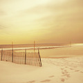 Dreams of Summer