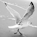 Take Off